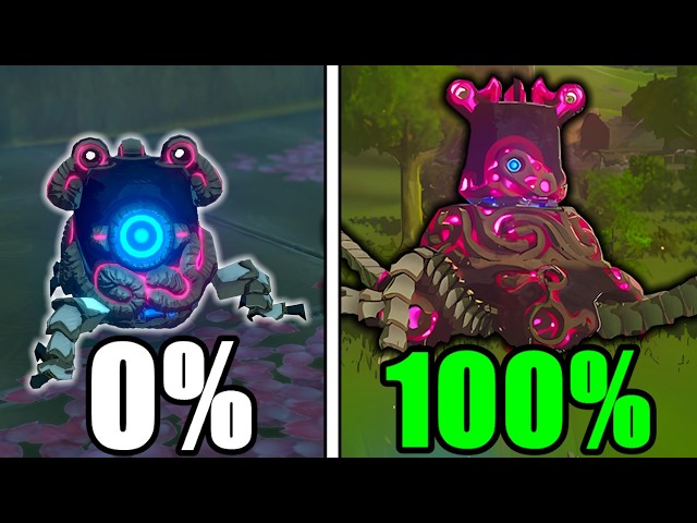 I 100%’d Zelda as a Guardian