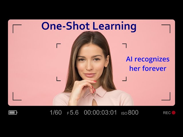 How AI Generalizes From Just One Example: One-Shot Learning