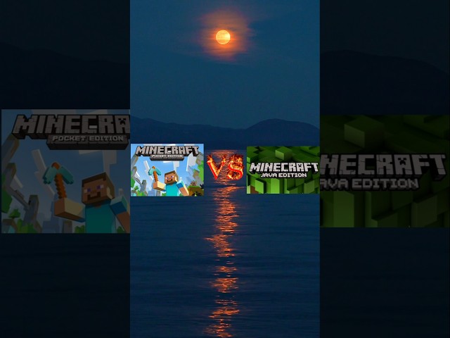 Pocket Edition Vs Java Edition 🤔 #minecraft #pocketedition #javaedition #shorts