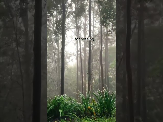 Mornings at Java Rain 