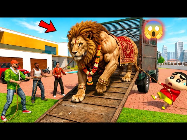 Jack And Franklin Lay A Giant Bodybuilder Lion 🦁 At Home 🤩 Indian Theft Auto Simulator 🥳