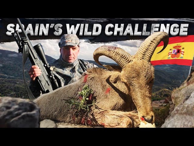 The Ultimate Mountain Hunt in Spain! 5 Epic Trophies in 7 Days #trophyhunting