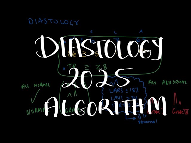 2025 Diastology Algorithm Explained in 6 minutes | Diastology Ep 6