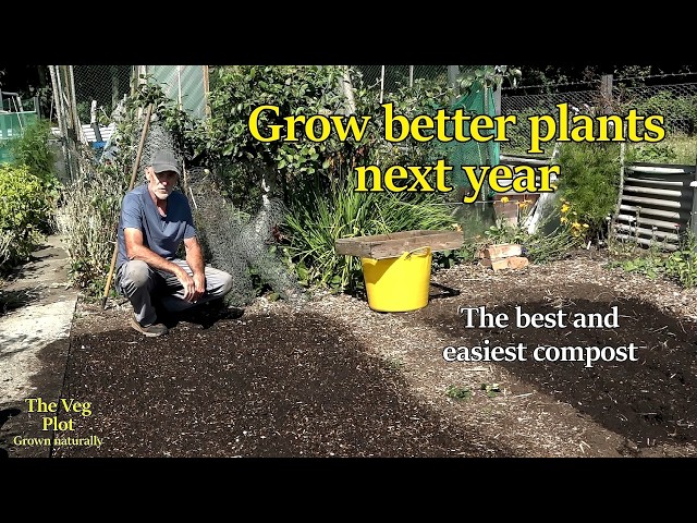 How I grow the best compost ; step by step