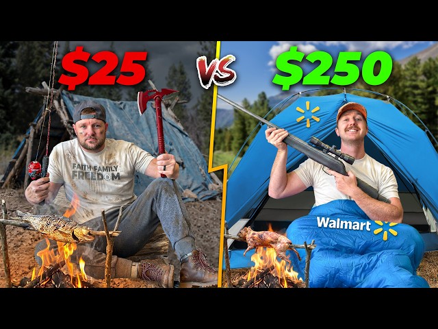 $25 vs $250 Walmart Budget Survival Challenge!