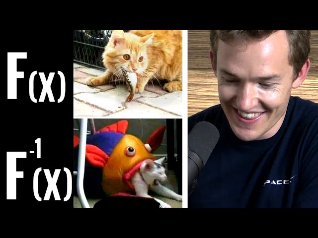 Math Meme Review with Grant Sanderson (3Blue1Brown)