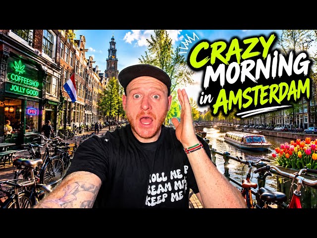 WILD Morning in Amsterdam - Lost in the Mix 