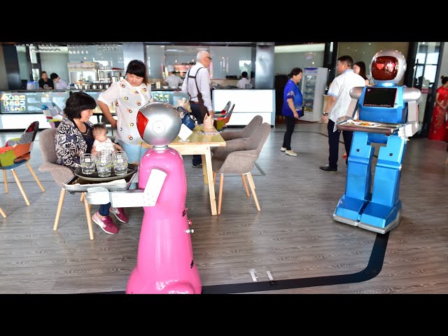 This robot works as a waiter at a restaurant and is hilarious 😂