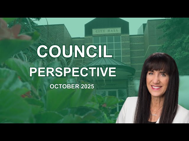 Council Perspective: October 2025