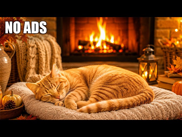 Calming Autumn Music for Cats 🍂😺 Cozy Fireplace & Purring Sounds for Deep Sleep & Stress Relief