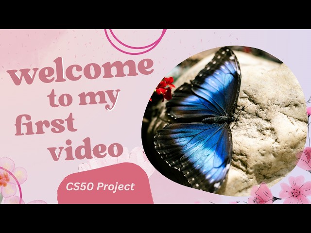 CS50 Final Project-the Word of Butterflies