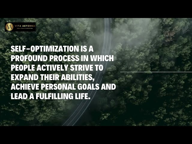 WHAT IS SELF-OPTIMIZATION? ENGLISH