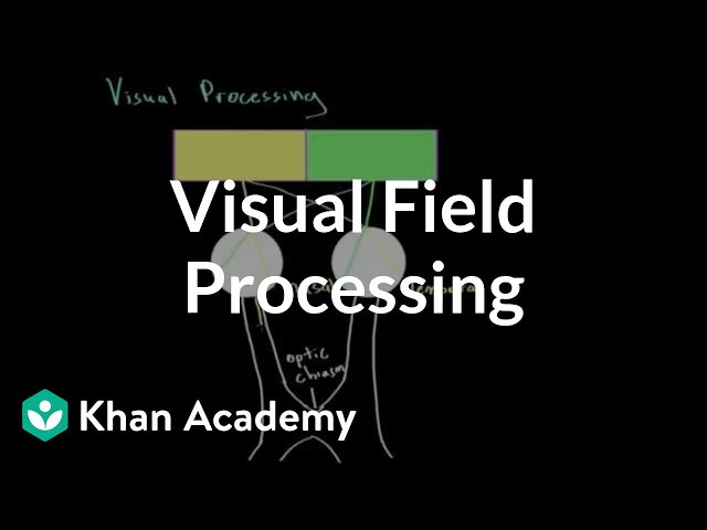 Visual field processing | Processing the Environment | MCAT | Khan Academy
