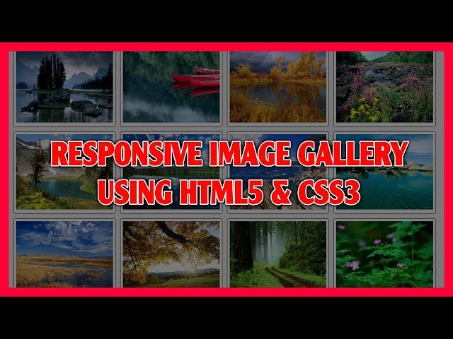 Responsive Image Gallery Using HTML5 & CSS3 | Pure CSS3 Image Gallery