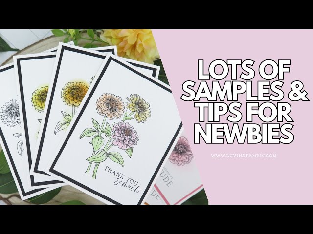 Best Beginner Handmade Card Design for 2024 | Many Tips For Newbies