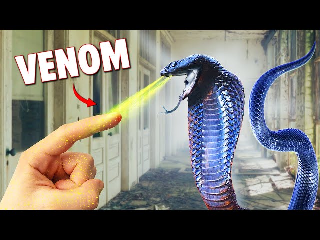 Cobras INFEST Abandoned Hotel!
