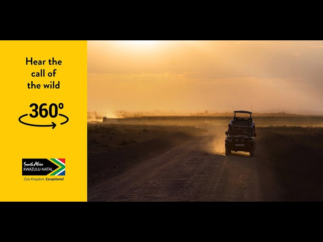 Go wild on Safari - virtual 360 experience