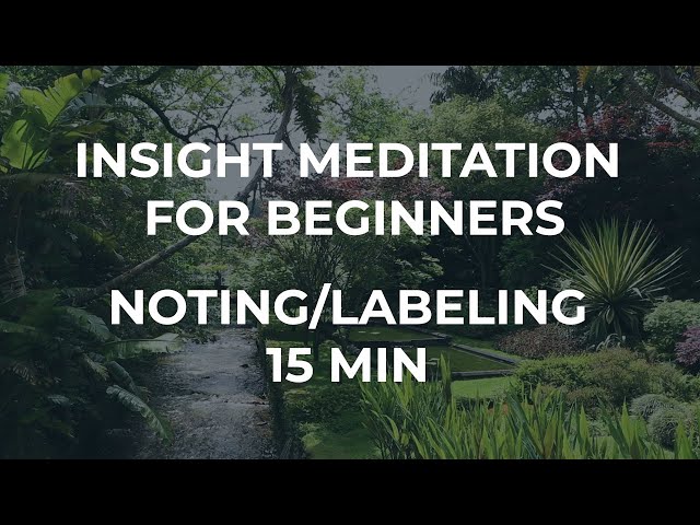 Guided Introduction to Insight Meditation - Noting - 15 minutes