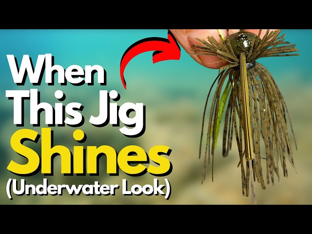 Ranking the 5 BEST Situations for a Finesse Jig (Underwater Look)