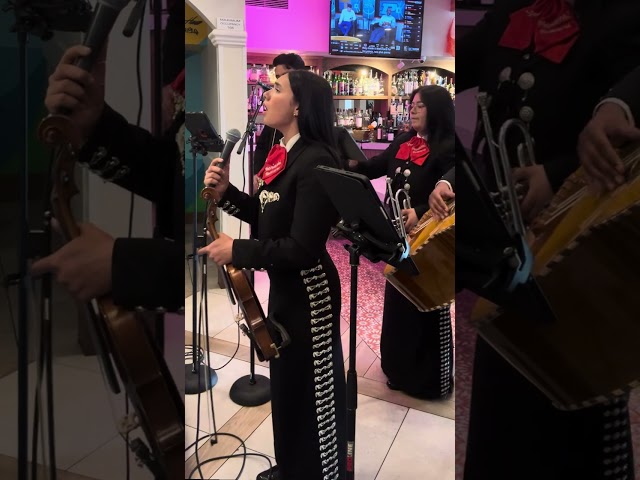 Mucho Corazon - Mariachi Folklore