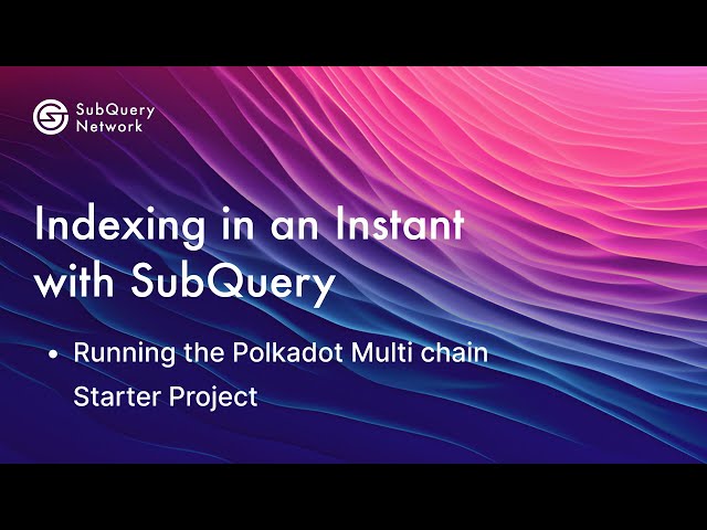 Running the Polkadot Multi chain Starter Project using SubQuery ⚡