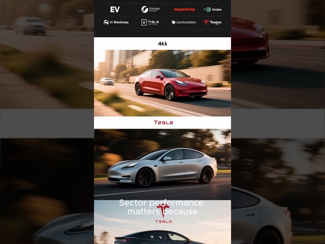 #28: Tesla Case Study (Live Example)