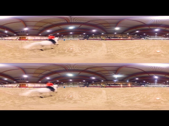 ETAP VR 360 6k3D tripod removal