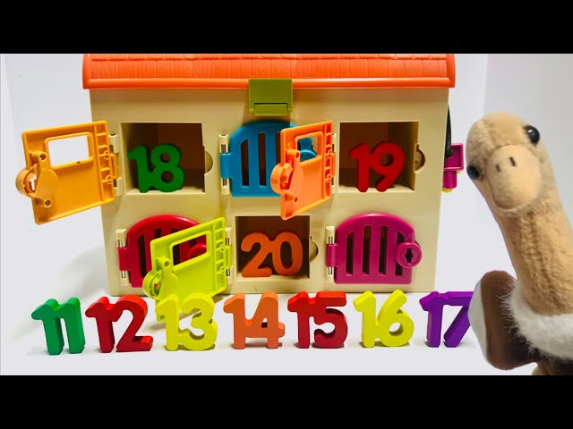 Learn Numbers 11-20 | Find the Missing Numbers! | Educational Toddler Toy Learning
