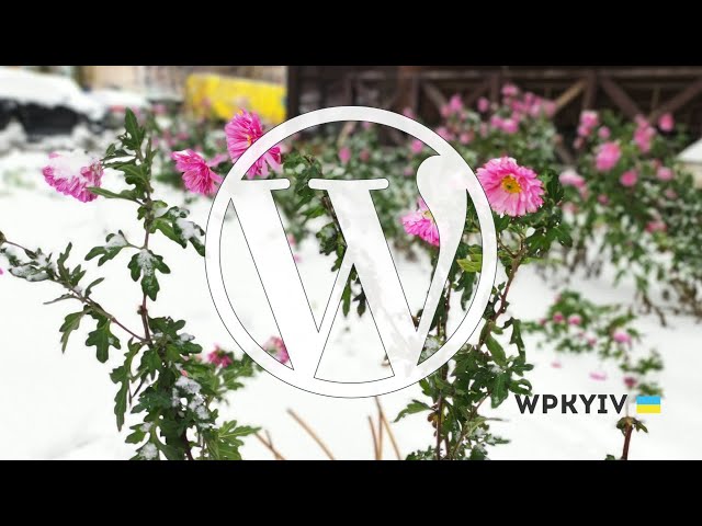 February 2024 WordPress Kyiv Online