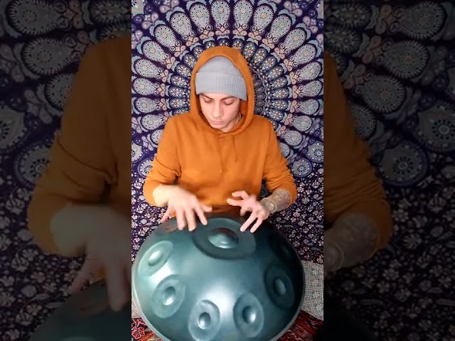 Marcel Hutter - daily video update #7