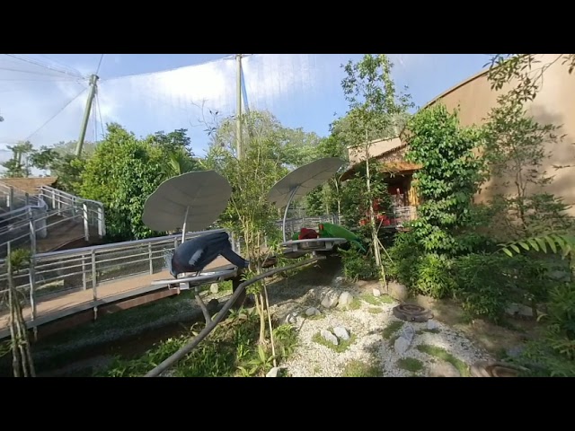 [VR180] Mandai Bird Paradise