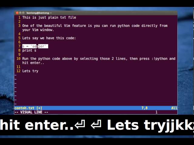 Running Python Code from Vim Window