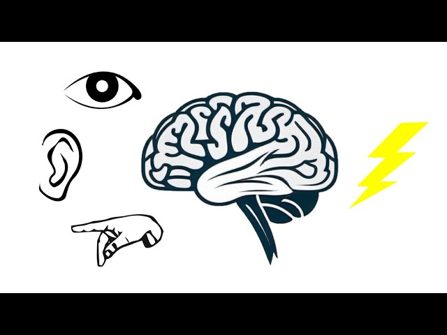 The Use of Neural Entrainment in Accelerating Learning
