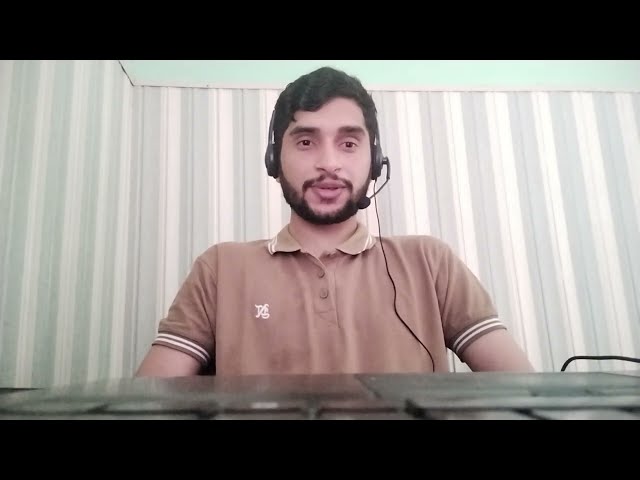 WordPress Developer
