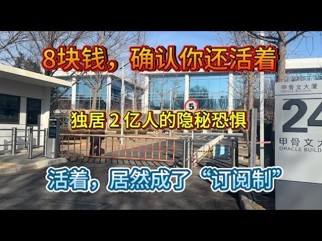 2026最冷App “‘死了么’爆火：8块钱确认你还活着？孤独正成为最贵的生意！2030年将会有2亿户独居家庭，独居时代到底有多孤独？”