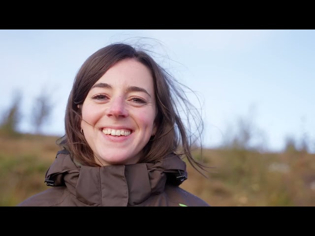 Rewilding the Scottish Highlands on a grand scale
