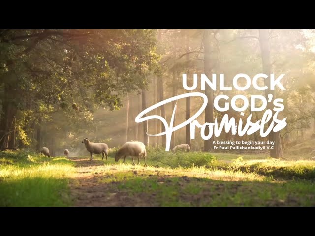 Unlock God's Promises: a blessing to begin your day (Day 883) - Fr Paul Pallichamkudiyil VC