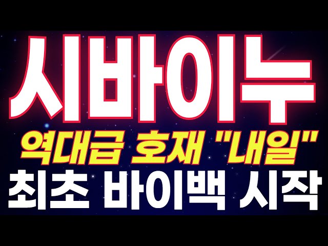 [시바이누] 내일 이 선 넘으면 진짜 폭발 온다… 세력 움직임 포착됨 🔥 D-1일