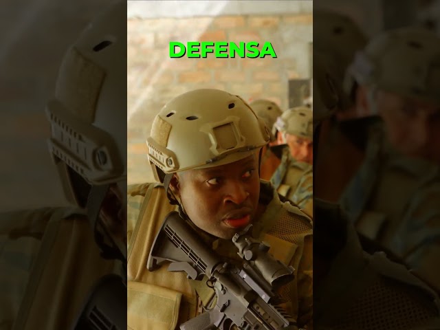 Lenguajes de programación raros que son mas importante de lo que crees