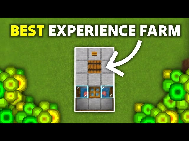 Minecraft NEW XP Farm in Bedrock Edition 26.0+ (MCPE/Xbox/PS4/Nintendo Switch/Windows10)