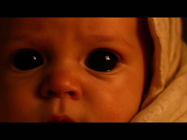 Newborn Lullaby  -  The Neglected Link