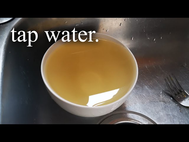 flint, michigan.