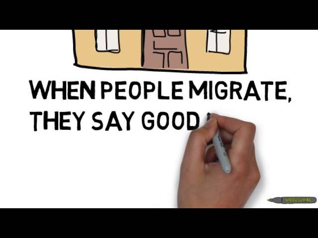 Migration video for primary school