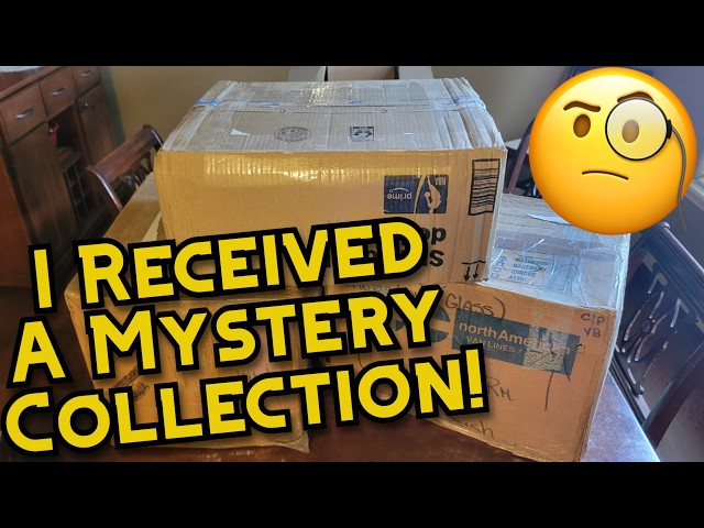 Another Stranger Sent Me Their Collection!