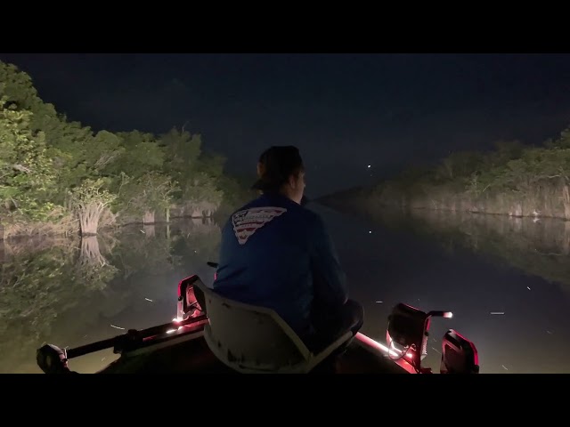 Invasive Python 🐍 Hunting In The Everglades