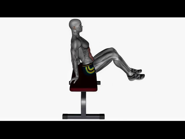 Bench Knee Tucks - Proper Form & Technique [4K]