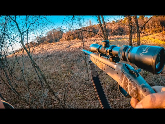 Quick After Work Hunt Deer Hunt PA Rifle Season 2020 Ep. 19