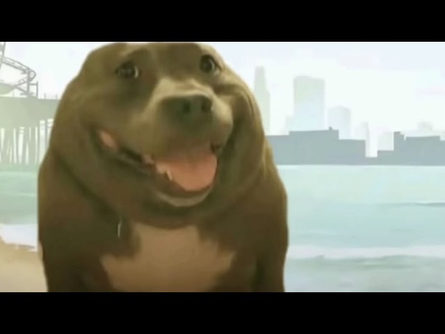 Random memes I permanently borrowed PT.1577