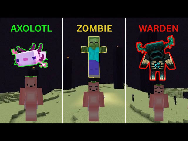 Beating The Ender Dragon But Random Mobs Spawn On Me!