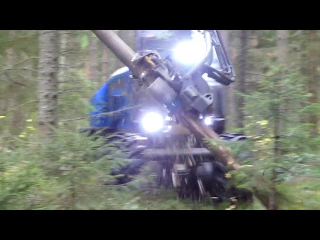 Rottne H8d harvester in commercial thinning